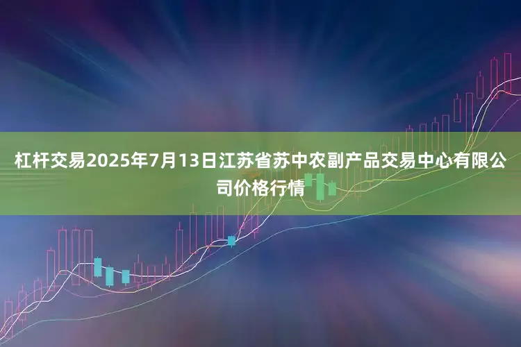 杠杆交易2025年7月13日江苏省苏中农副产品交易中心有限公司价格行情